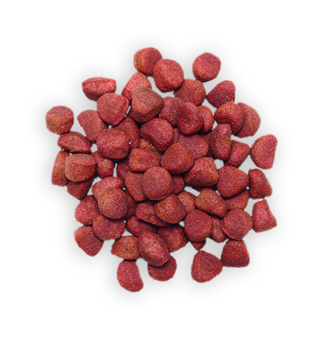 FitBark2_Front_Black_New05